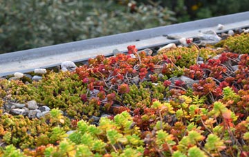 the cost of Shirkoak green roof installation