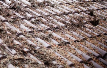 Shirkoak roof cleaning companies