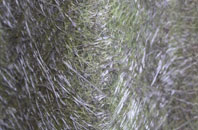 Shirkoak fibreglass roof work